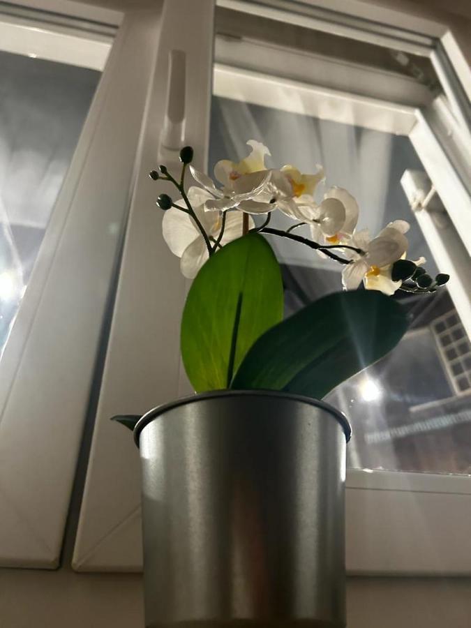 Lvm Apartments Ζάγκρεμπ Εξωτερικό φωτογραφία